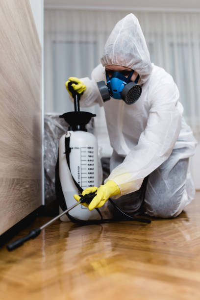 Best Pest Exclusion Services  in Belvedere Park, GA